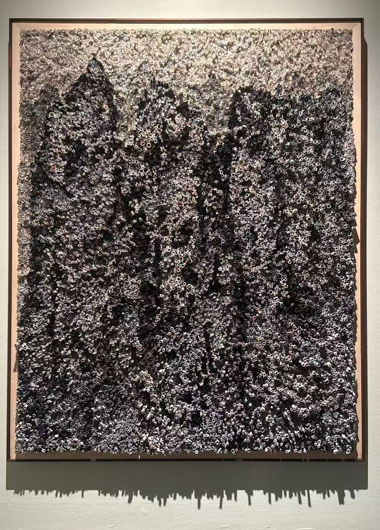 80033